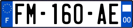 FM-160-AE