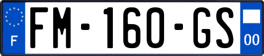 FM-160-GS