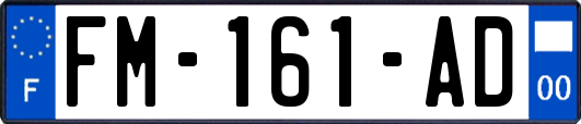 FM-161-AD