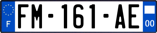 FM-161-AE