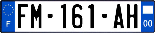 FM-161-AH