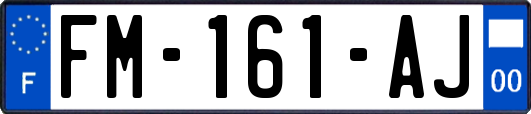 FM-161-AJ