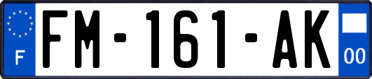 FM-161-AK