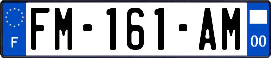 FM-161-AM