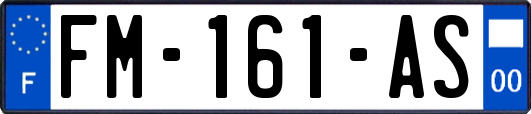 FM-161-AS