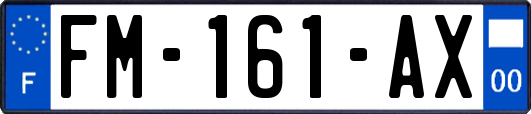 FM-161-AX