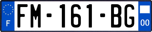 FM-161-BG