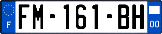 FM-161-BH