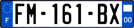 FM-161-BX