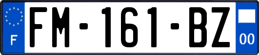 FM-161-BZ