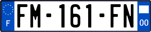 FM-161-FN