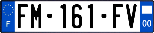 FM-161-FV