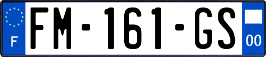 FM-161-GS