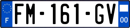 FM-161-GV