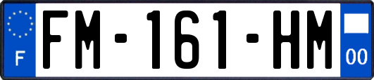 FM-161-HM