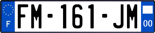FM-161-JM