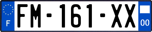 FM-161-XX