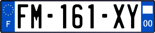 FM-161-XY