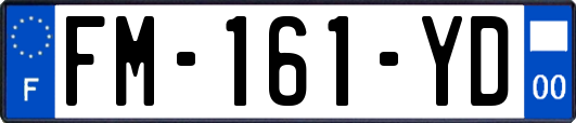 FM-161-YD