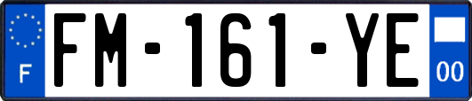 FM-161-YE