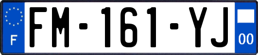 FM-161-YJ