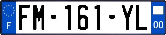 FM-161-YL