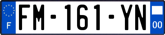 FM-161-YN