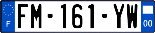 FM-161-YW