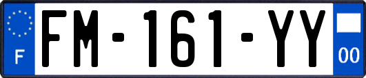 FM-161-YY