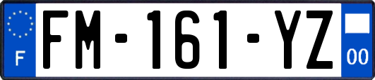 FM-161-YZ