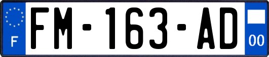 FM-163-AD
