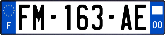 FM-163-AE