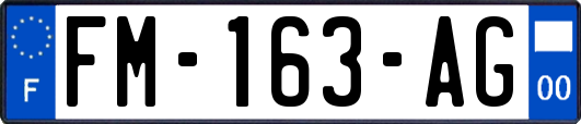 FM-163-AG