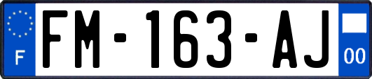 FM-163-AJ