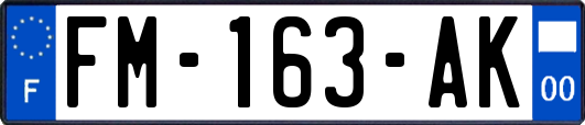 FM-163-AK