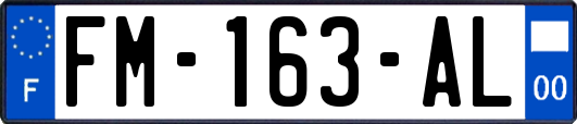 FM-163-AL