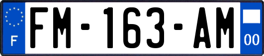 FM-163-AM