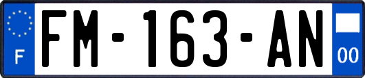 FM-163-AN