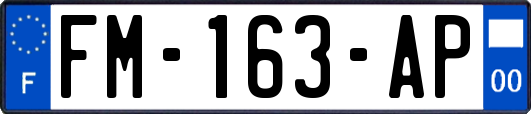 FM-163-AP