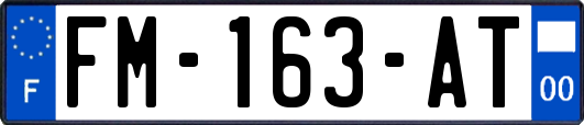 FM-163-AT