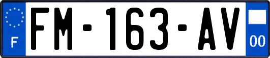 FM-163-AV