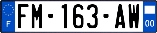 FM-163-AW