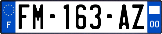 FM-163-AZ