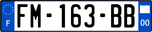 FM-163-BB