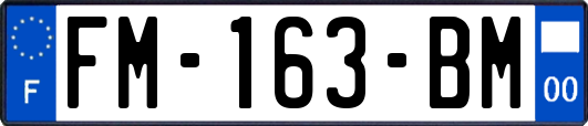 FM-163-BM