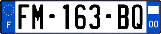 FM-163-BQ