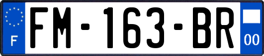FM-163-BR