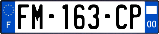 FM-163-CP