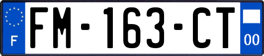FM-163-CT
