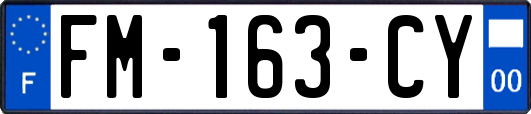 FM-163-CY